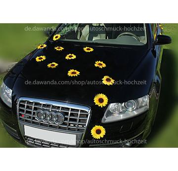 Sonnenblumenkopfe Autodeko Hochzeit mit Saugnäpfen  |  | Artikelnummer: 105982643