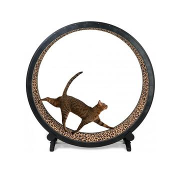 Katzenlaufrad Laufrad Katzen Antistress |  | Artikelnummer: 0987654322