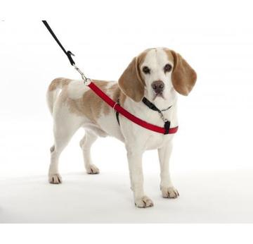 Halti Walkezee Harness Geschirr Hunde Brustgeschirr schwarz rot Trainingsanleitung Hundegeschirr | Wird nicht mehr produziert! | Artikelnummer: 886284725217