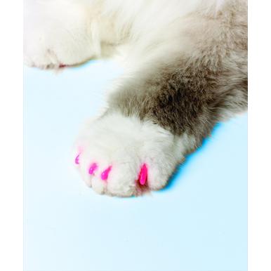 SoftClaws Krallenschutz Krallenkappen Katze Katzen Soft Claws |  | Artikelnummer: 683359732060