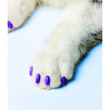 SoftClaws Krallenschutz Krallenkappen Katze Katzen Soft Claws |  | Artikelnummer: 683359733050