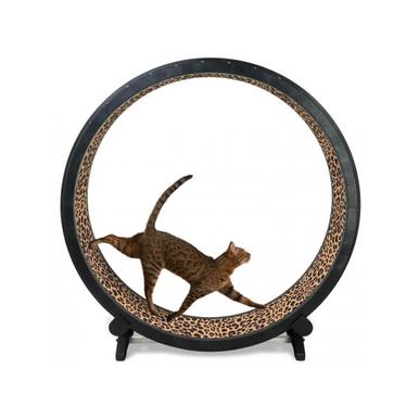 Katzenlaufrad Laufrad Katzen Antistress |  | Artikelnummer: 0987654322