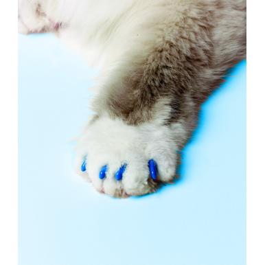 SoftClaws Krallenschutz Krallenkappen Katze Katzen Soft Claws |  | Artikelnummer: 683359734033