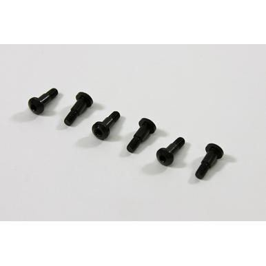 Team C T04038 Schrauben M3 (6) 4WD Comp. Buggy |  | Artikelnummer: T04038