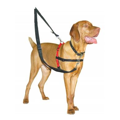 Halti Harness Geschirr Hunde Brustgeschirr schwarz rot Trainingsanleitung Hundegeschirr |  | Artikelnummer: 886284132206