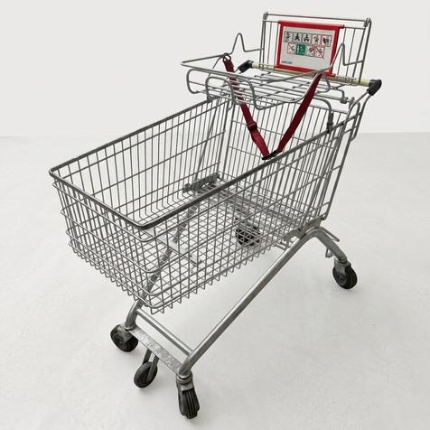 Wanzl ELA155F mit Maxi-Cosi-Ablage | Einkaufswagen | 143 Liter | Artikelnummer: EKW-WZ-G-ELA155F-MAXI ANTHR