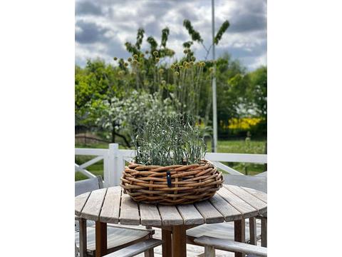 A2 Living Rattan Pflanzkorb – Natürliche Eleganz für dein Zuhause Maxi Ø 37 cm | Artikelnummer: 3100-7803-4457
