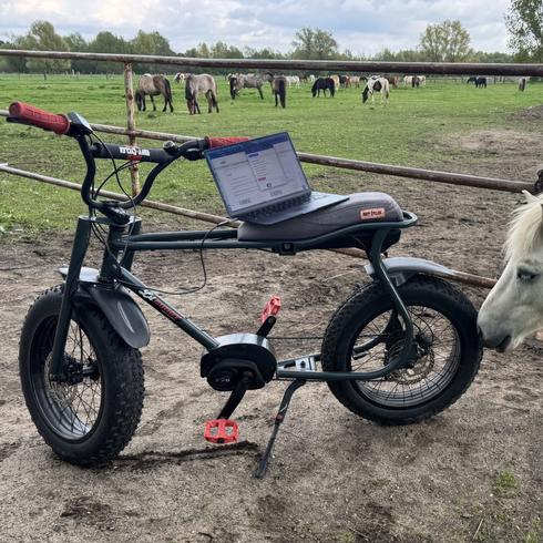 20 Zähne Haibike Kettenblatt für Bosch Gen2 E-Bike Motoren– E-Bike Tuning Shop 20 Zähne Haibike Kettenblatt für Bosch Gen2 E-Bike Motoren– E-Bike Tuning Shop