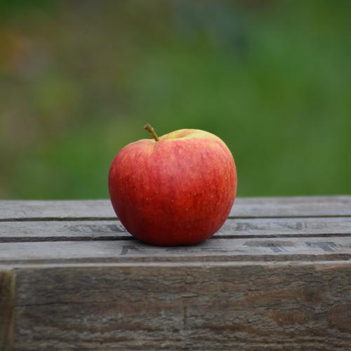 jonagored apfel