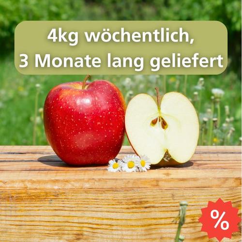 Apfelabo 4kg | Wöchentlich | 3Monate