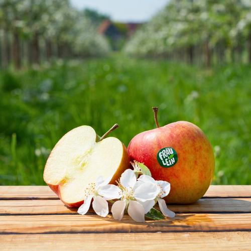 Fräulein Äpfel