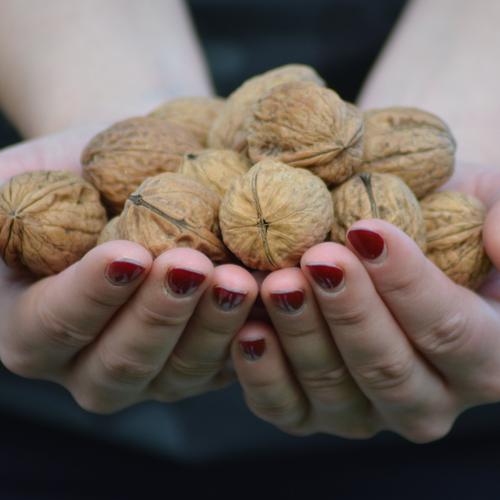 Walnüsse online bestellen