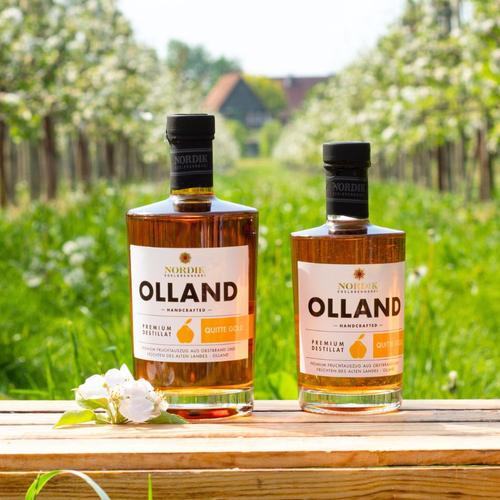 Olland Quitte Brand