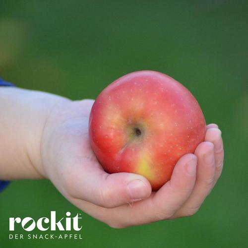 Kleiner Rockit Apfel
