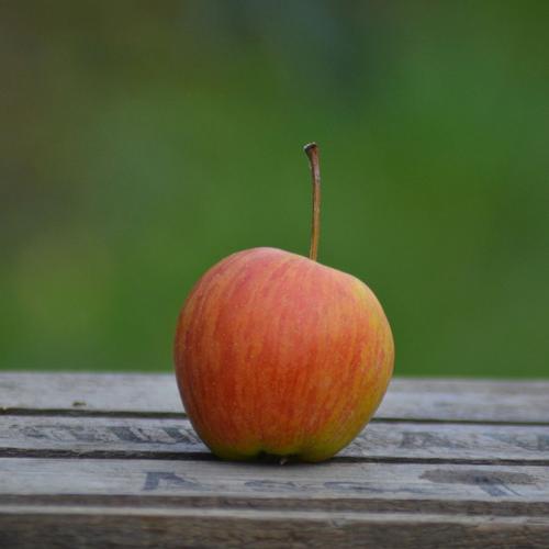 Rubinette Allergiker Apfel 