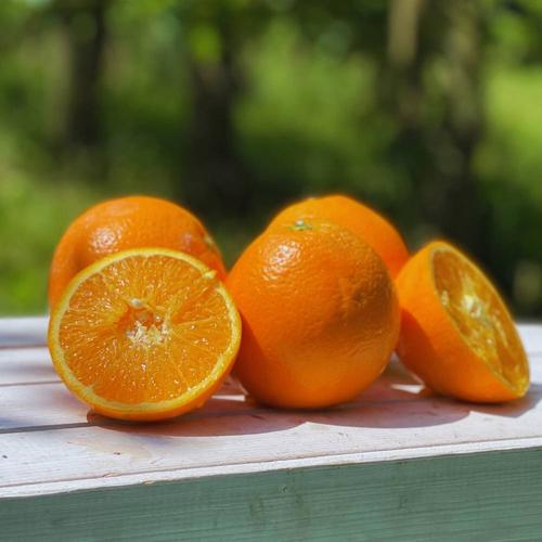 Bio Orangen 15St