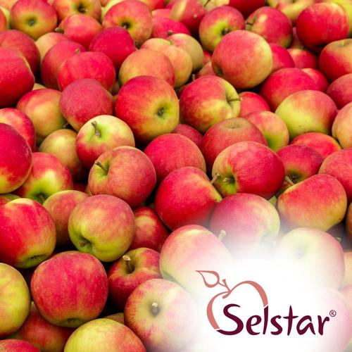 selstar apfel 