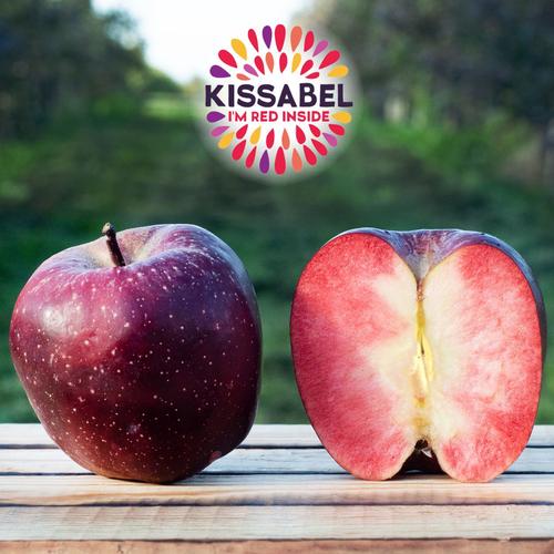 kisssabel rouge apfel 