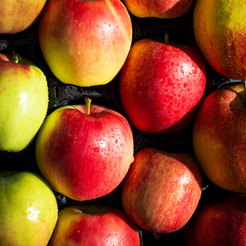 Altländer Äpfel Set