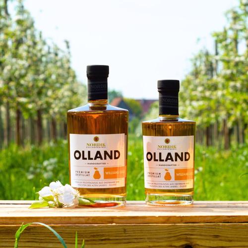 Nordik Williams Christ Brand 