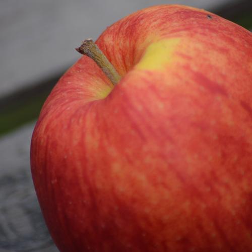 jonagored apfel