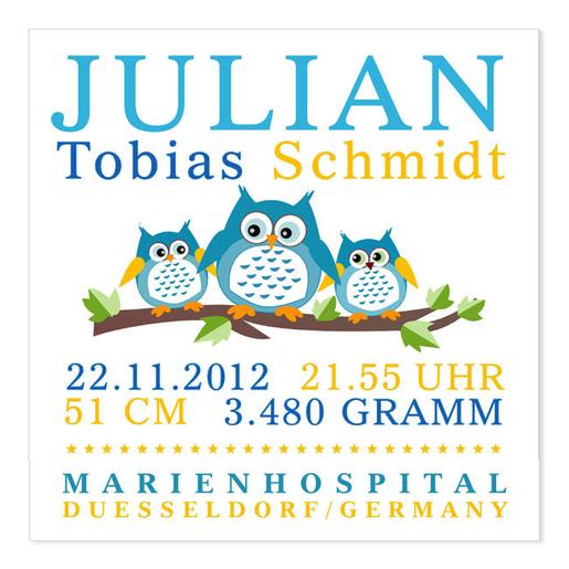 Namensbild mit Geburtsdaten Eulen  |  | Artikelnummer: 41699914 -1