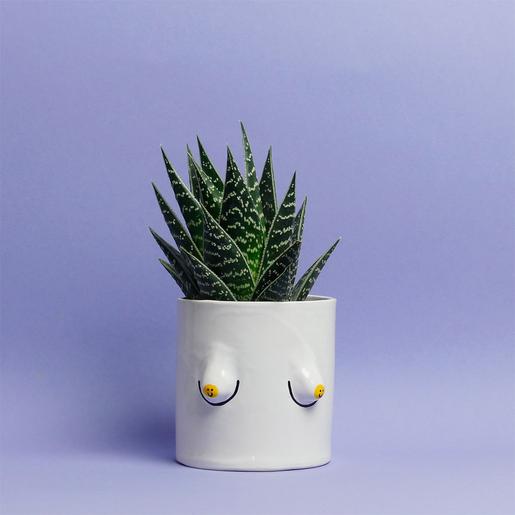 Smiley Boob Pot 