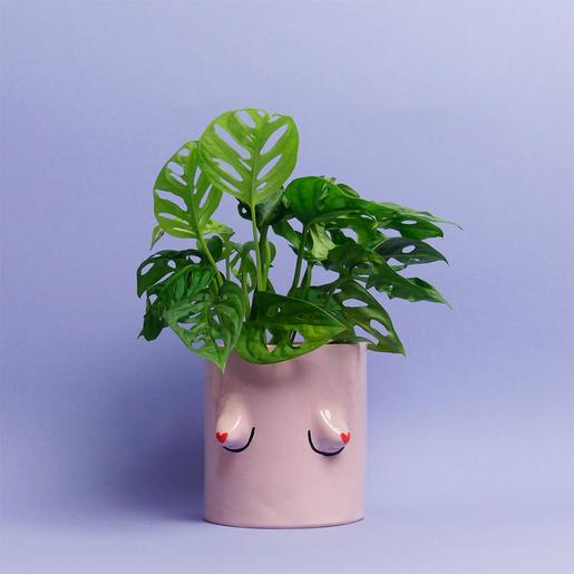 Pinker Heart Boob Pot 