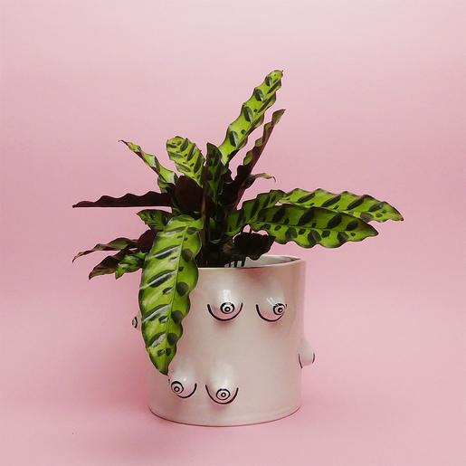 Multiboob Pot 