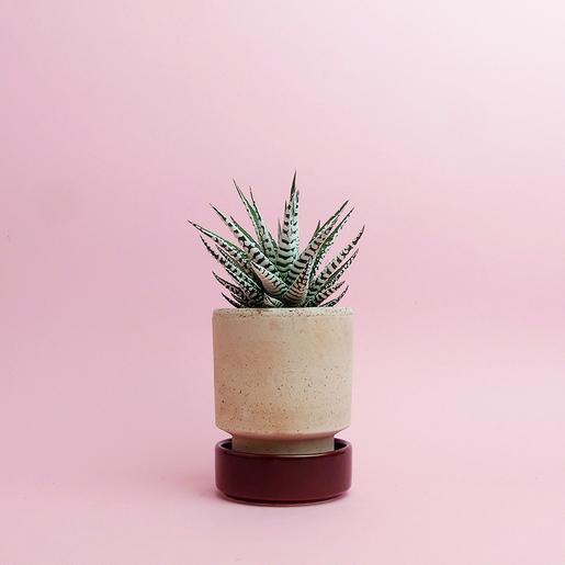 Hoff Pot - Set - Ø 8 cm