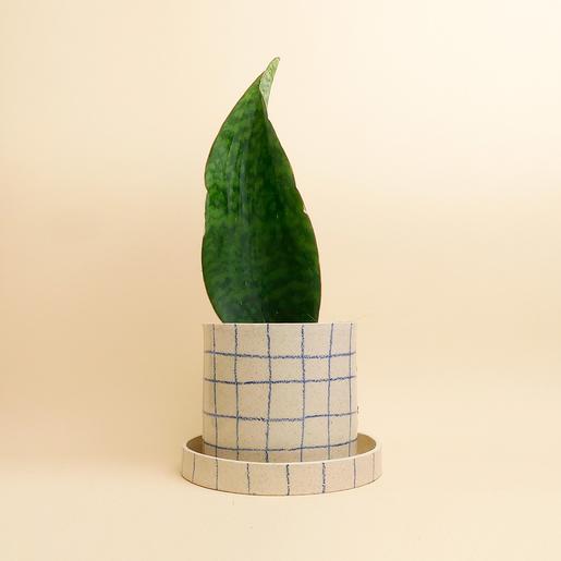 GRID - M