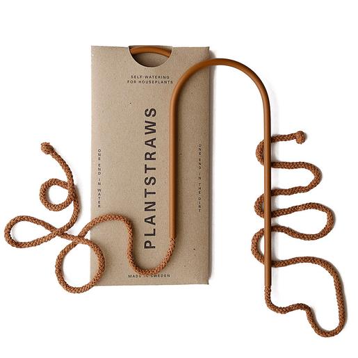 Plant Straw terracotta braun - S