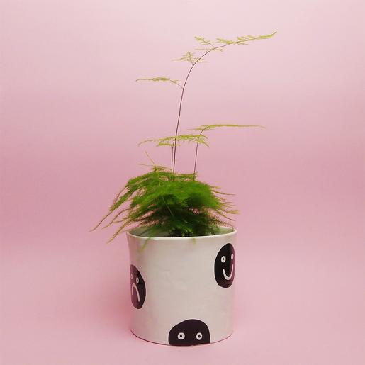 Mixed Emotion Pot 
