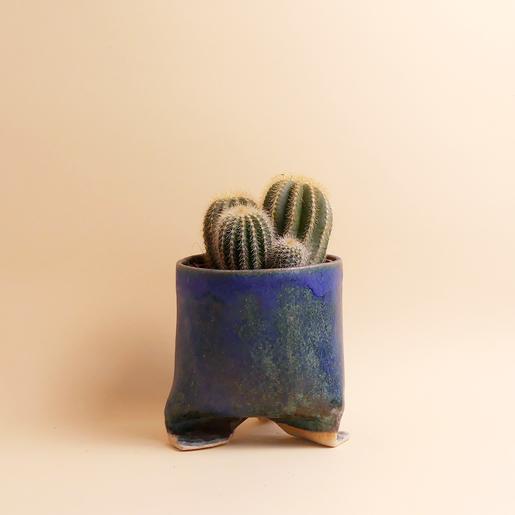 Planter from Caution Fragile Ceramics - The Botanical Room