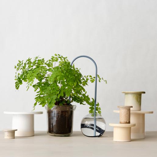 Plant Straw