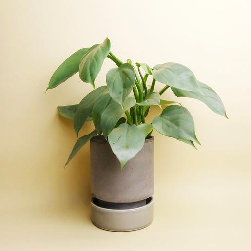 Hoff Pot - Set - Ø 14 cm