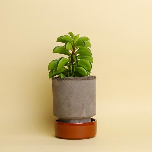 Hoff Pot Set - Größe S