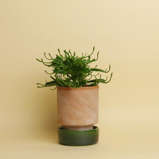 Hoff Pot Set - Größe S