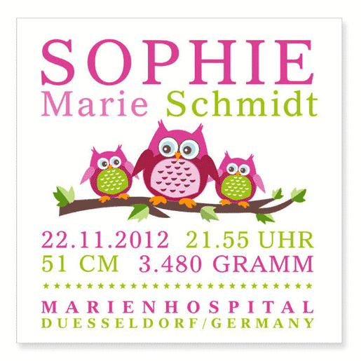 Namensbild mit Geburtsdaten Eulen  |  | Artikelnummer: 41699914-7