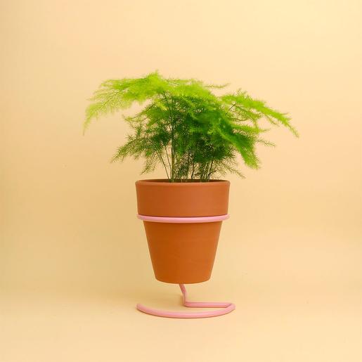 Best Plant Shop - The Botanical Room