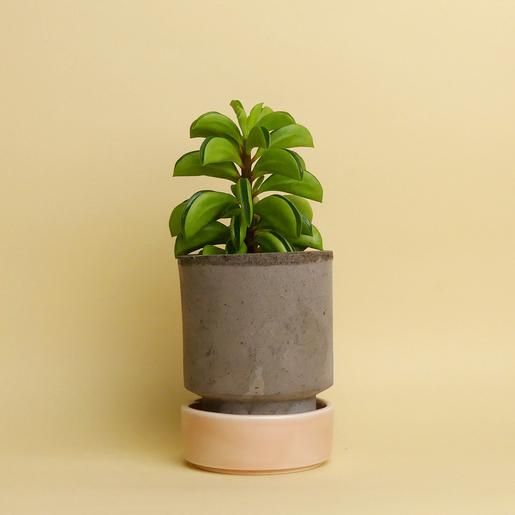 Hoff Pot Set - Größe S