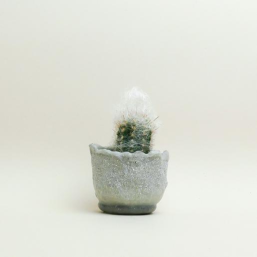 Eggshell Re-Planter #6