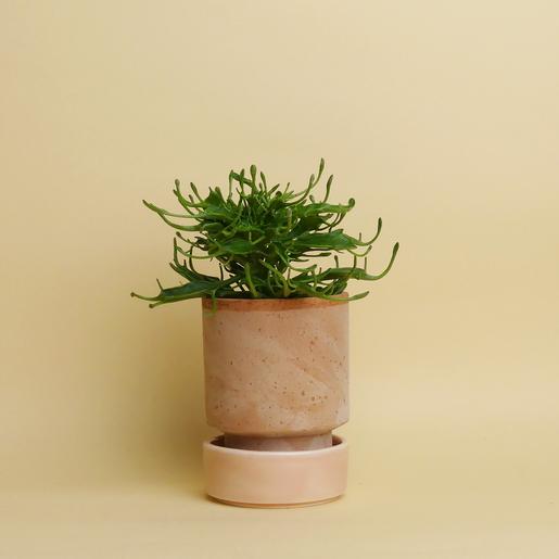 Hoff Pot Set - Größe S