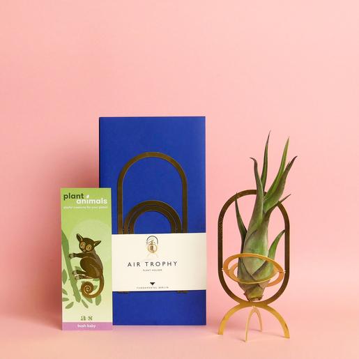 Geschenk-Set 3