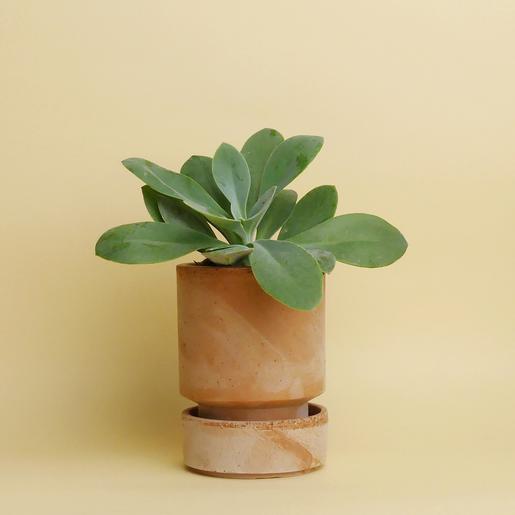 Hoff Pot - Set - Ø 8 cm