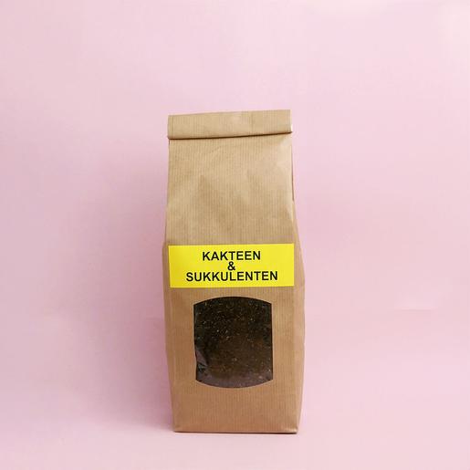 Best Plant Shop Berlin - The Botanical Room