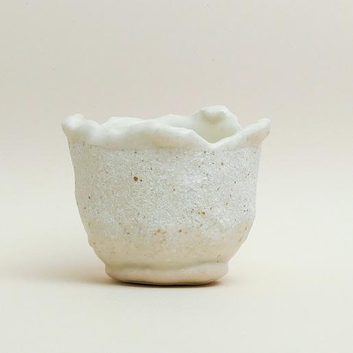 Eggshell Re-Planter #1