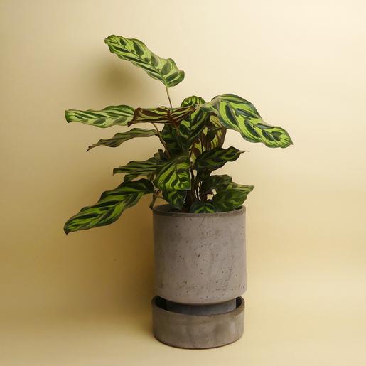 Hoff Pot Set - Größe M