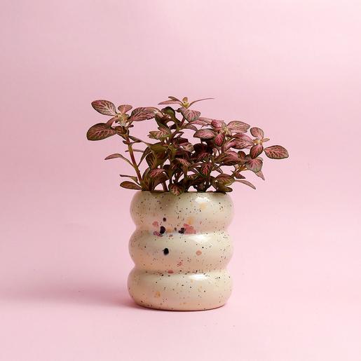 Belly Planter - creme