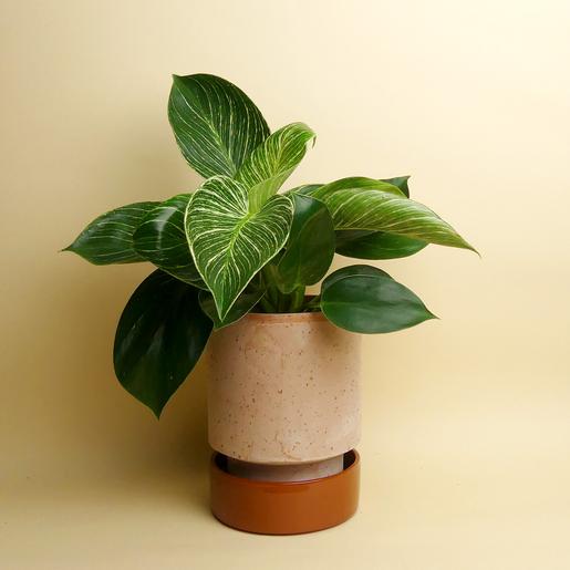 Hoff Pot Set - Größe M
